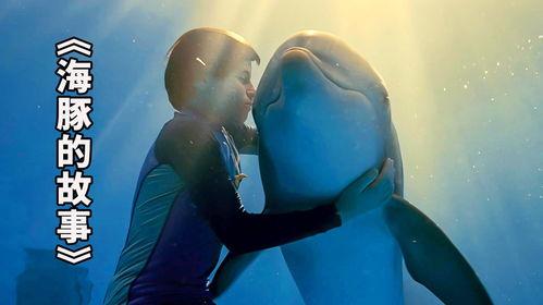 海豚的故事在线观看,海洋深处的友谊之旅